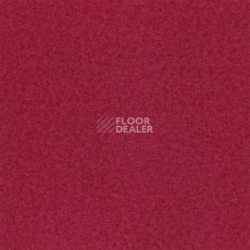 Ковролин Sommer Needlepunch Exposhow Exposhow Framboise 1262 фото 1 | FLOORDEALER